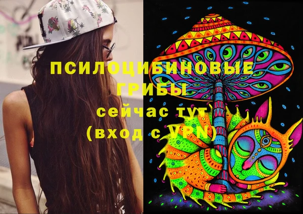 jwh Алзамай