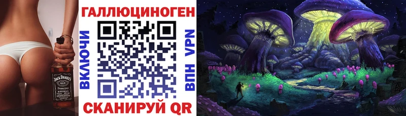 ОМГ ОМГ tor  Бабаево  Псилоцибиновые грибы прущие грибы 